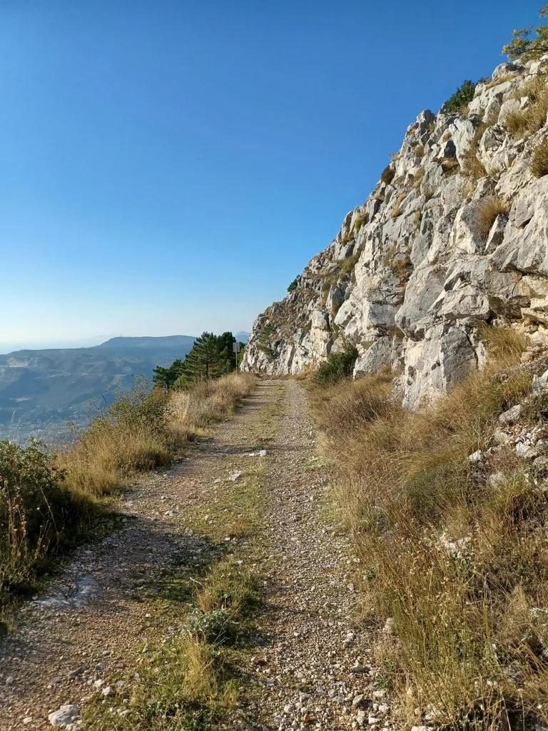 Malaštica