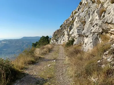 Malaštica