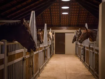 Kojan Koral – Horse Riding & Off-Road Safari